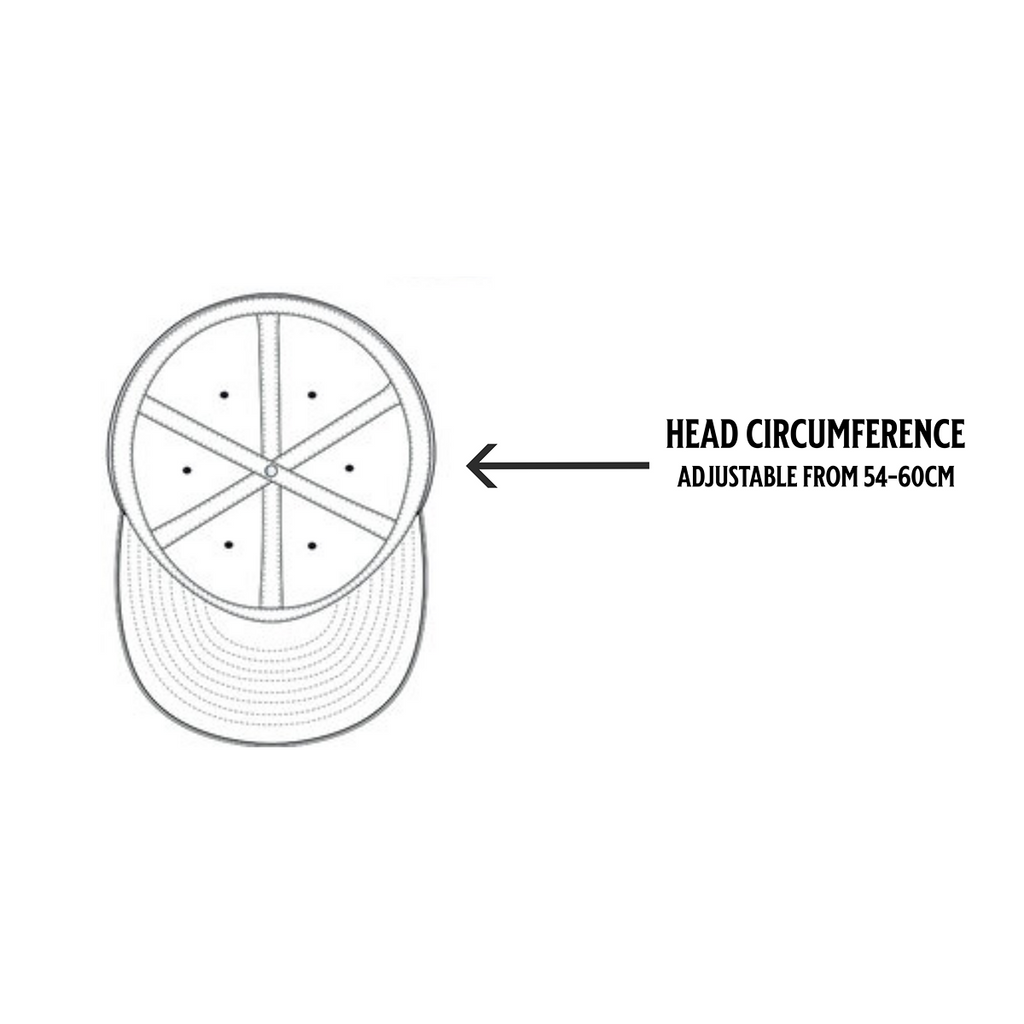 PERFORMANCE CAP V1